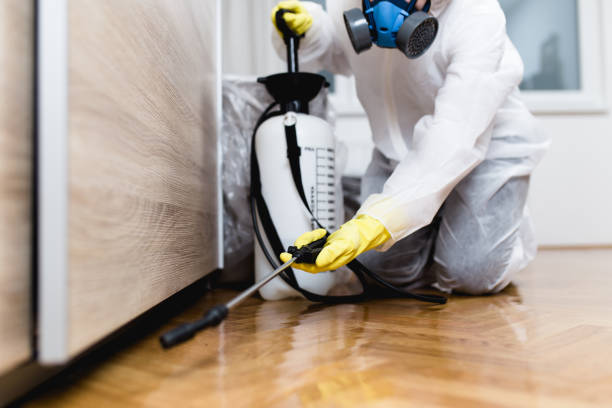 Pest Prevention Services in Colorado Springs, CO