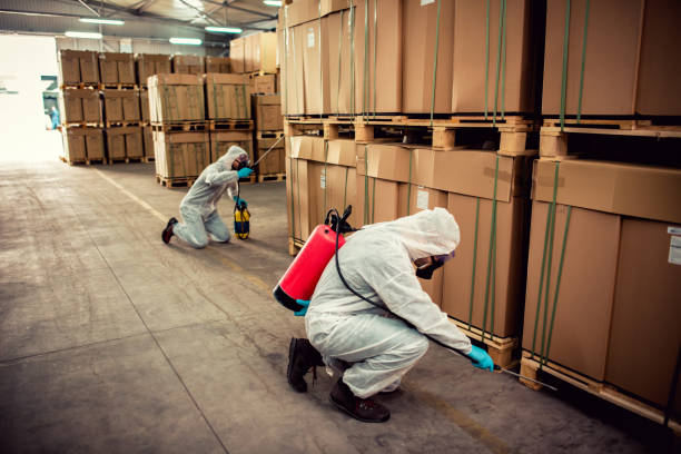 Best Flea Control Services  in Lorado Springs, CO