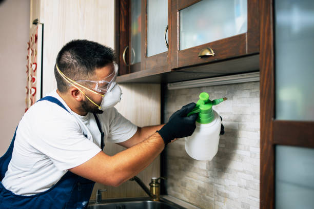Best Cockroach Control Services  in Lorado Springs, CO