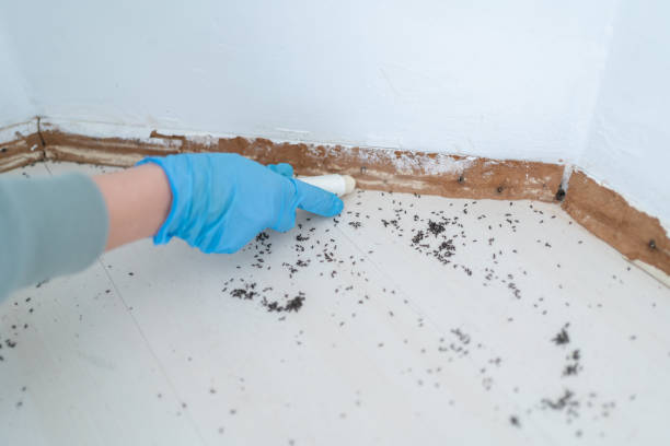 Colorado Springs, CO Pest Control Company